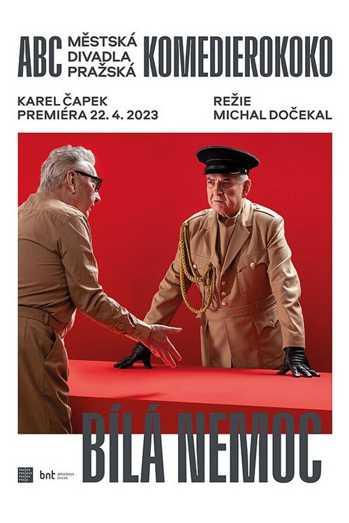 Bílá nemoc (divadelní záznam) Poster