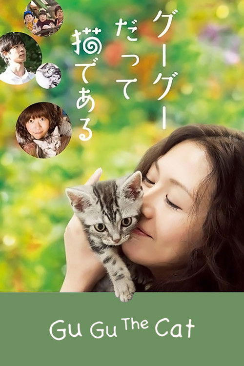 Gu Gu, the Cat Poster