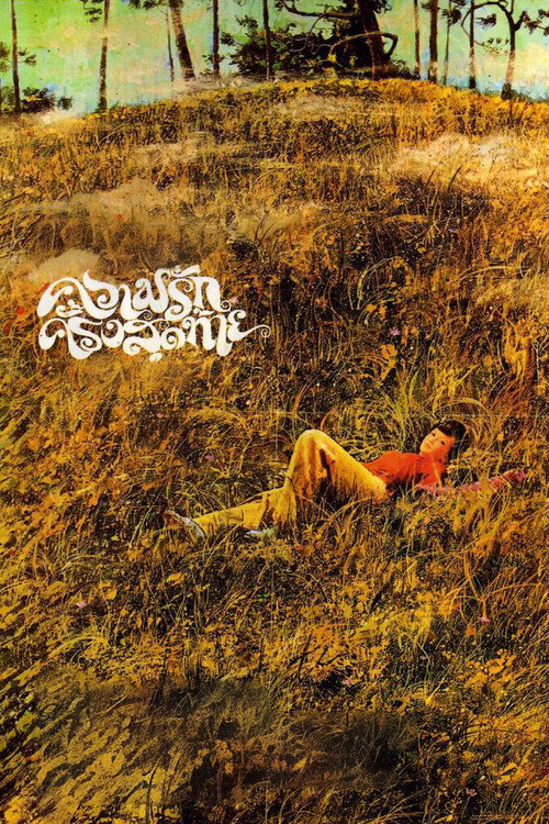 The Last Love Poster