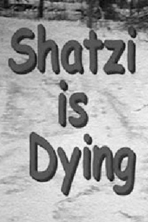 Shatzi Is Dying Poster