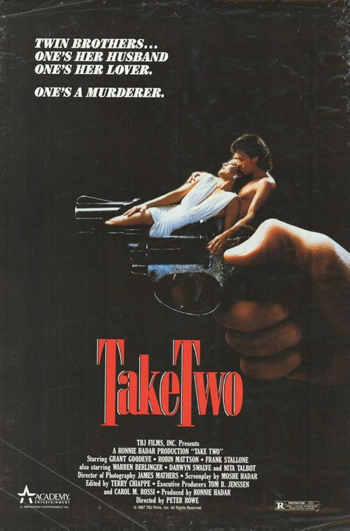 Take Two Poster