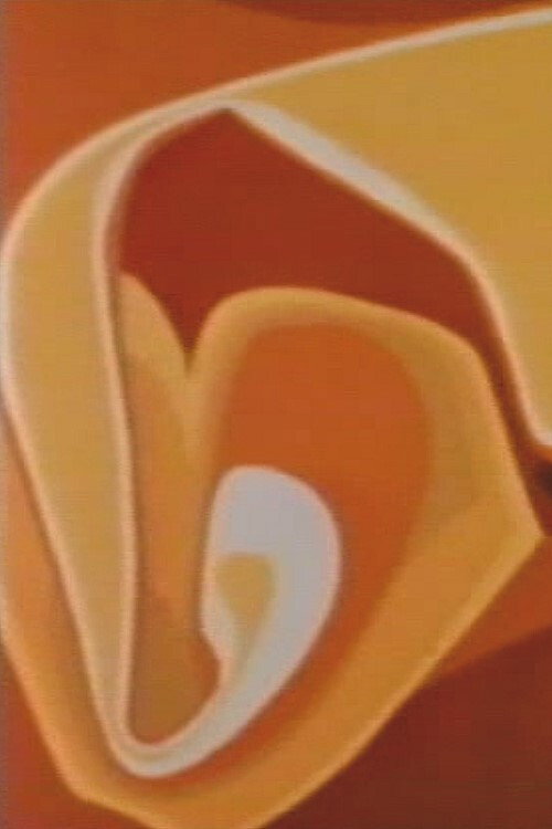 Organic Fragment Poster