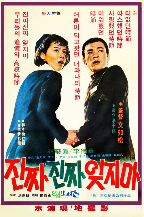 Never Never Forget Me Poster