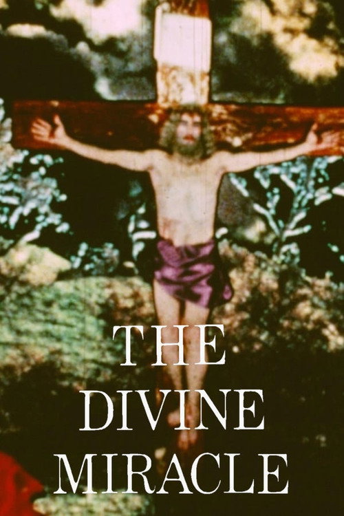 The Divine Miracle Poster