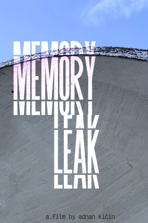 Memory Leak Poster