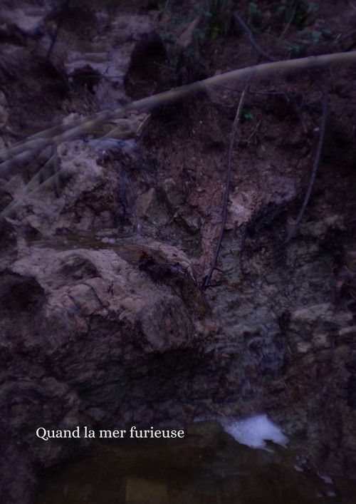 Quand la mer furieuse Poster