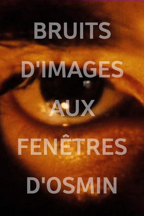 Image Noise (Osmin's Windows) Poster