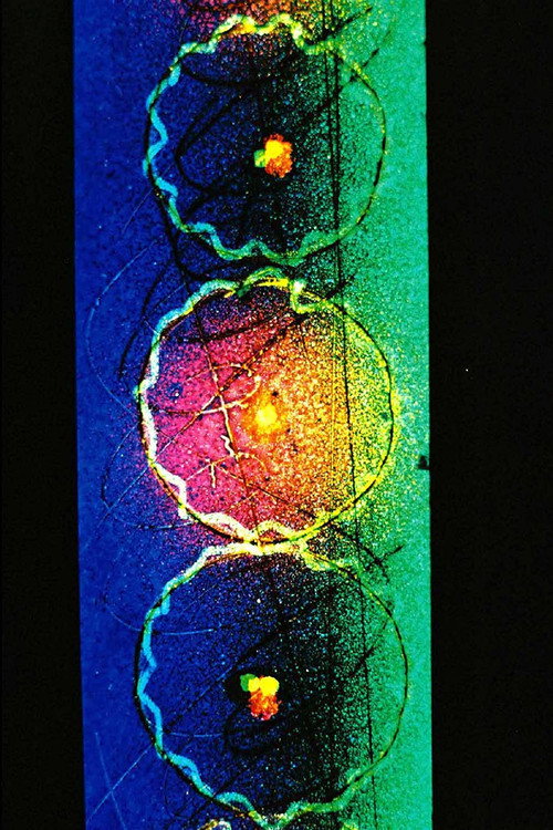 Linear Dreams Poster