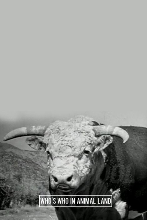 Who's Who in Animal Land Poster