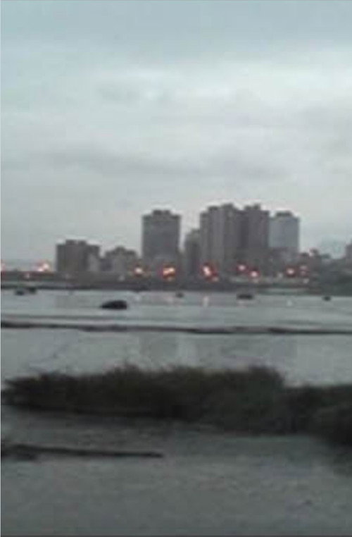 Moonlight in the River Poster