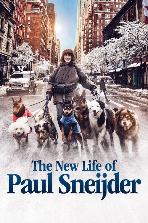 The New Life of Paul Sneijder Poster