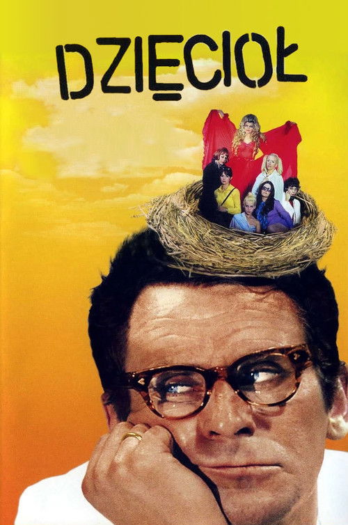 The Woodpecker Poster