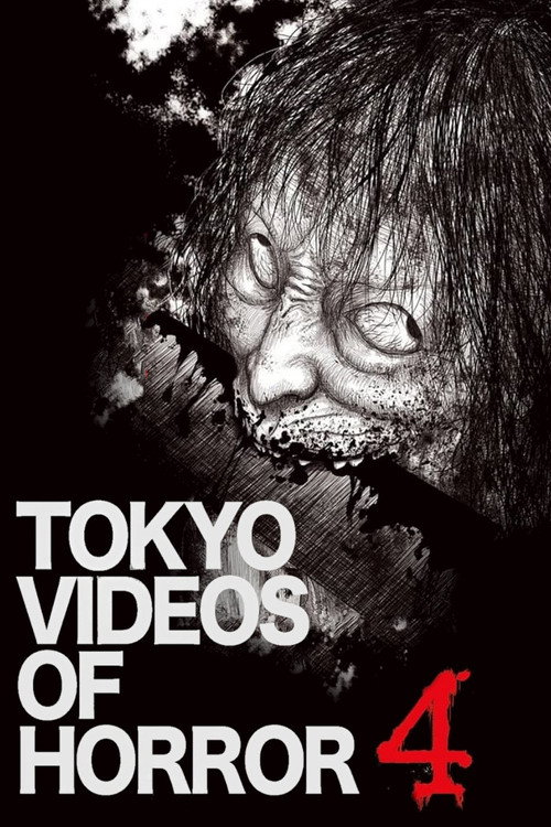 Tokyo Videos of Horror 4 Poster