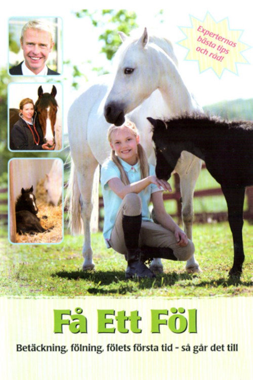 Få ett föl Poster