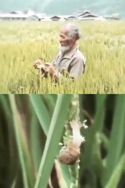 The Close to Nature Garden Poster