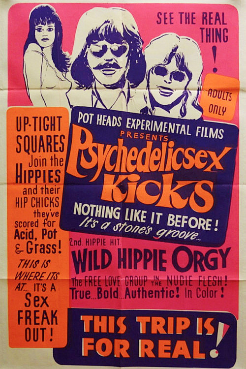 Psychedelic Sex Kicks Poster