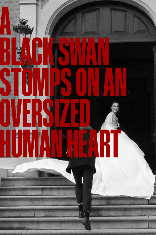 A Black Swan Stomps On An Oversized Human Heart Poster