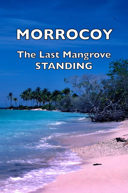 Morrocoy: The Last Mangrove Standing Poster