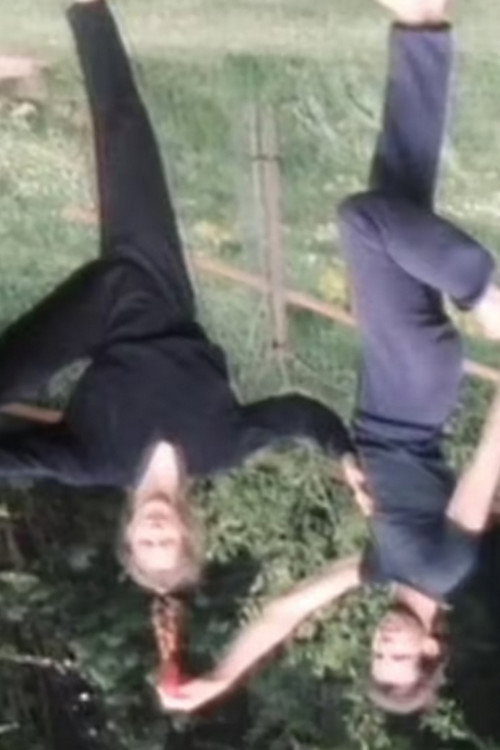 The Body on Three Floors Poster