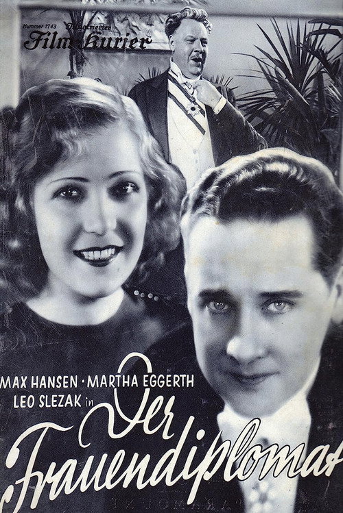 The Ladies Diplomat Poster