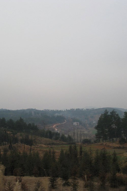 The Sun in Winter Poster