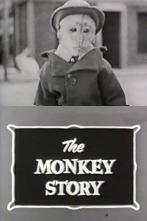 The Monkey Story Poster