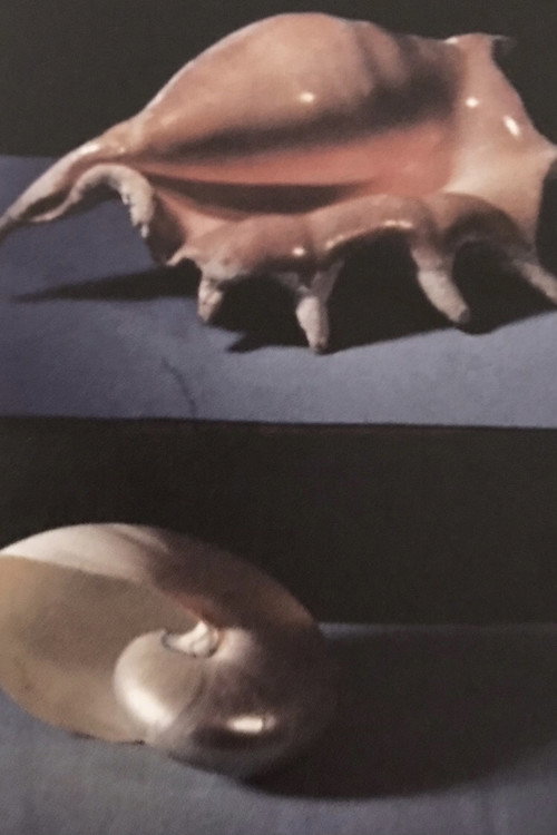La Piccola Noia Poster