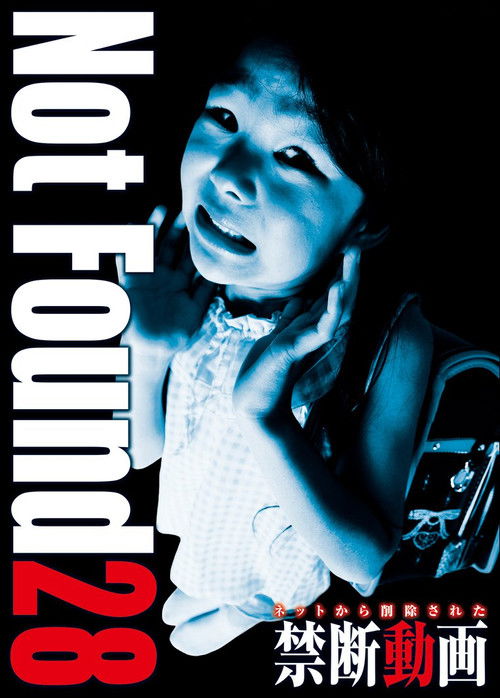 Not Found 28 Poster