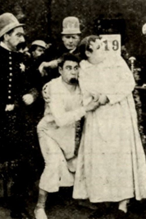 Hoffmeyer's Legacy Poster