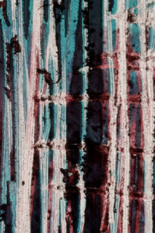 Everything Is Spinning Poster