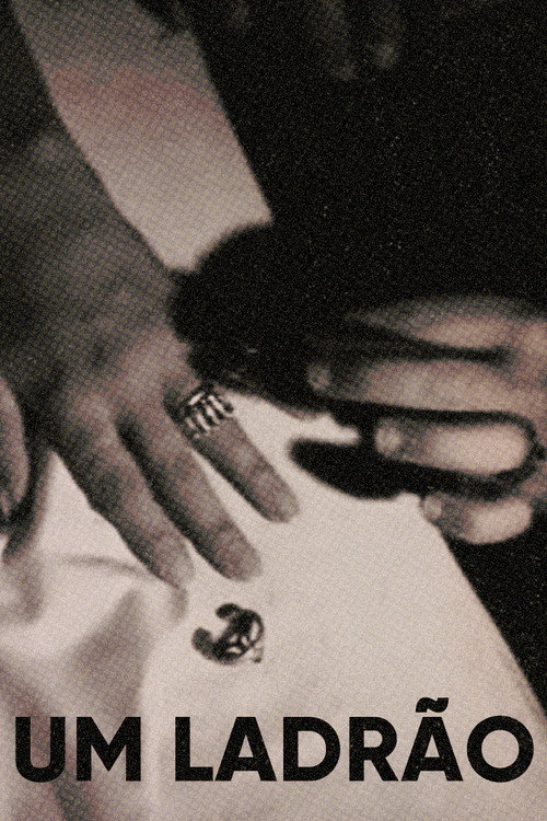 Um Ladrão Poster