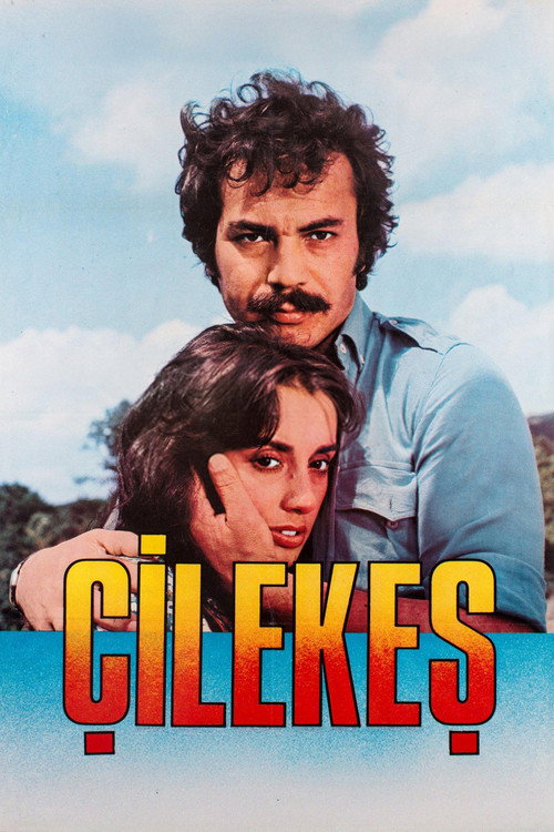 Çilekeş Poster