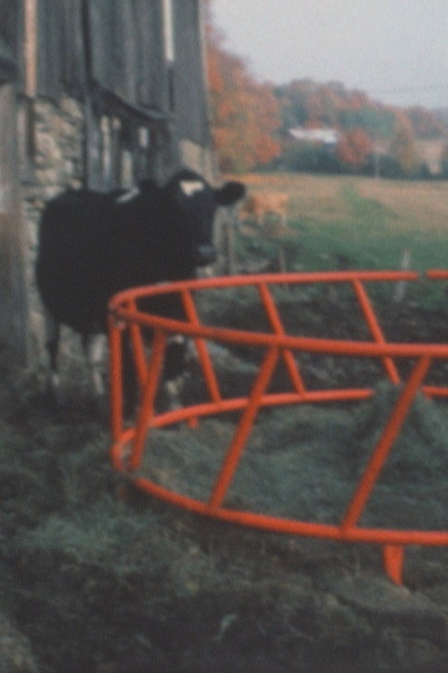 Super 8 Diary - 1991 Poster