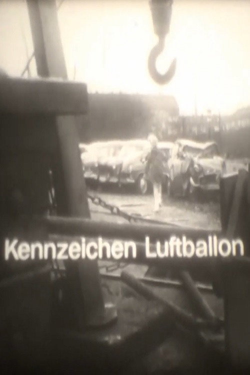 Kennzeichen Luftballon Poster