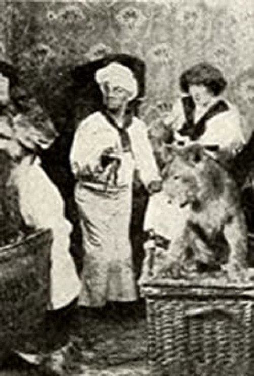 Calino et ses pensionnaires Poster