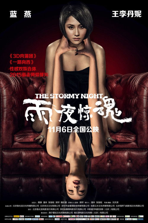 The Stormy Night Poster