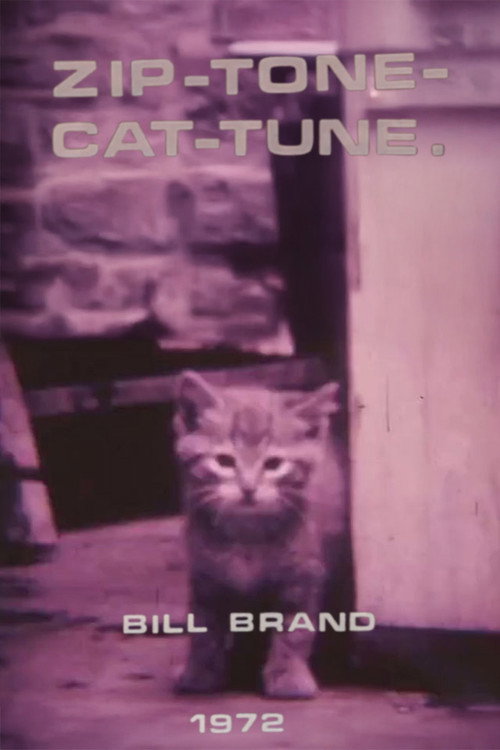 Zip-Tone-Cat-Tune Poster