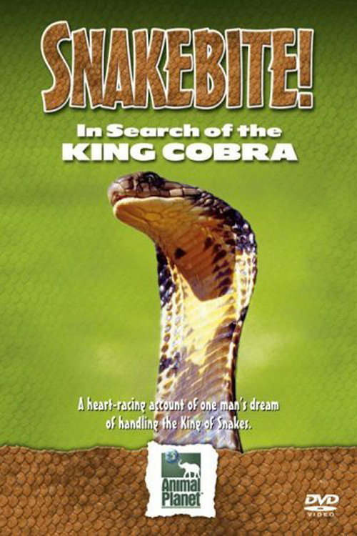 Snake Bite: In Search of the King Cobra Poster