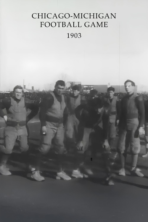 Chicago-Michigan Football Game Poster