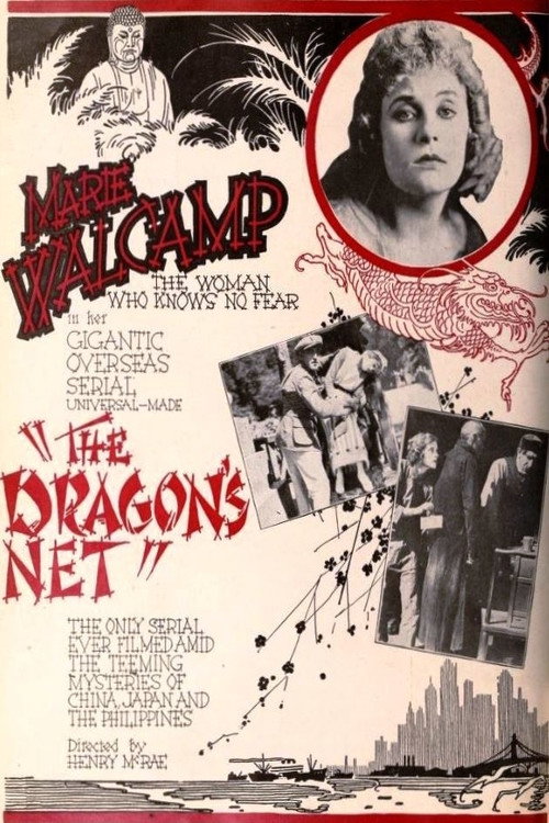 The Dragon's Net Poster