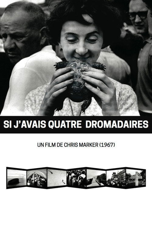 If I Had Four Dromedaries Poster