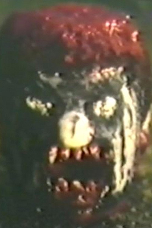 Das Buch Der Blutigen Geschichten Poster