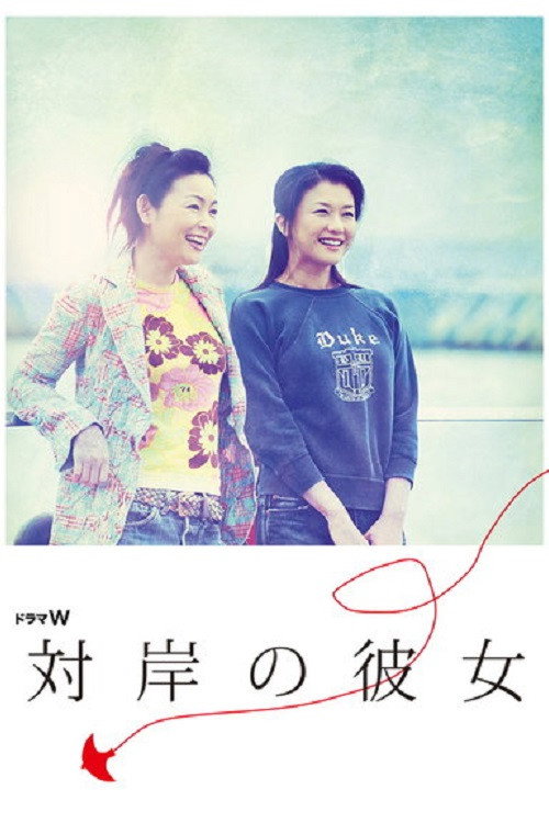 The Woman Opposite Poster
