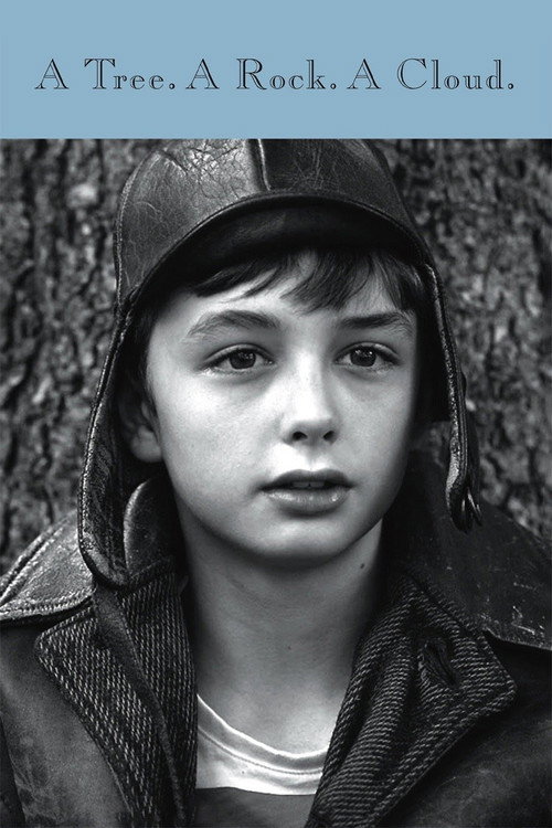 A Tree a Rock a Cloud Poster