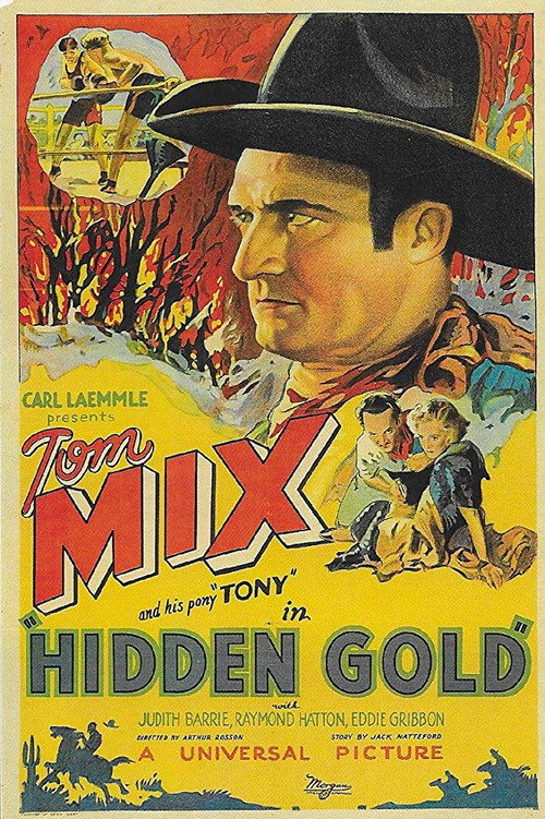 Hidden Gold Poster