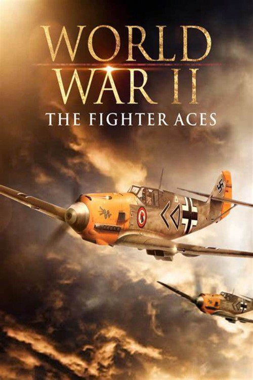 World War II: The Fighter Aces Poster