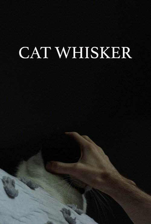 Cat Whisker Poster