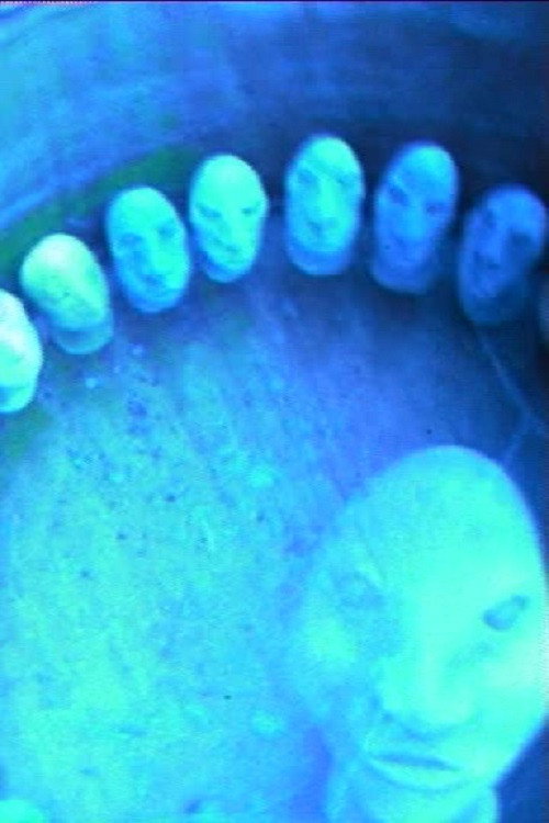 The Dandruff of Metals Poster