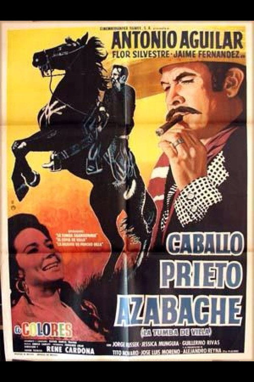 Caballo prieto azabache Poster