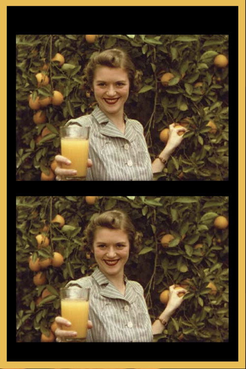 Florida, Land of Flowers Poster